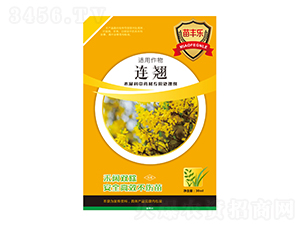 �B�NľϬ����ˎ�Č�(zhu��n)��̎�턩-���S��(l��)-�瘷(l��)���r(n��ng)�I(y��)