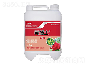 ����ʿ5KG-�а����r