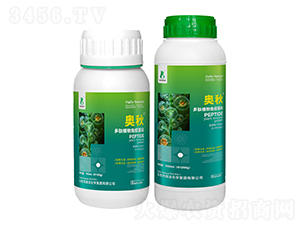 ����ֲ�����ߵ���-�W��-���r�W��