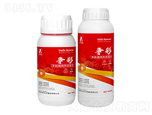 ����ֲ�����ߵ���-����-���r�W��