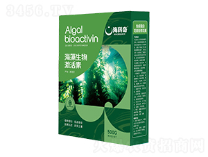 �������Ｄ����-������