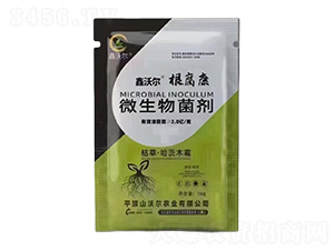 ΢�������-���֠���������-�֠��r(n��ng)�I(y��)