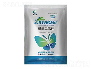 ��������-���֠�-�֠��r(n��ng)�I(y��)