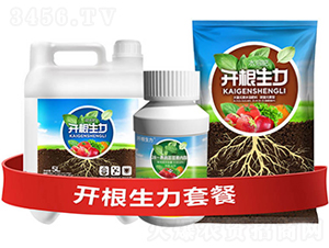 �_�������ײ�F-�ƴ�Ƽ�