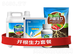 �_�������ײ�E-�ƴ�Ƽ�