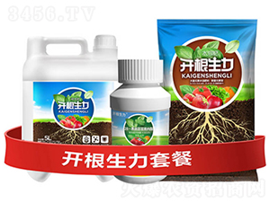 �_�������ײ�B-�ƴ�Ƽ�