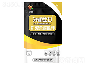 �VԴ�S�����-�_������-�ƴ�Ƽ�