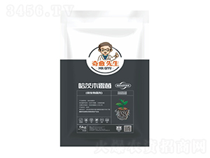 ����ľù��������������-��������-������r(n��ng)