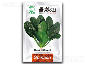 ī��611���˷N��-�����N�I(y��)