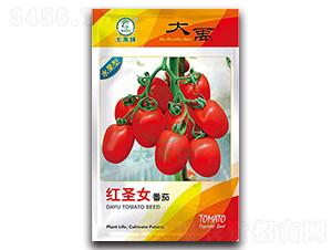 �tʥŮ���ѷN��-�����N�I(y��)