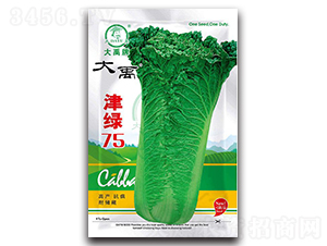 ��G75���{�N��-�����N�I(y��)