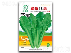 �G��18��С�ײ˷N��-�����N�I(y��)