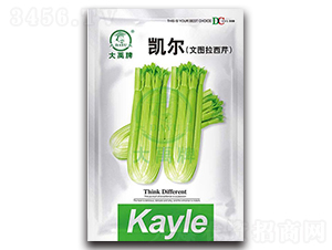 �P���ĈD������-�۲˷N��-�����N�I(y��)