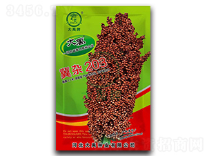 ���s203�����N��-�����N�I(y��)