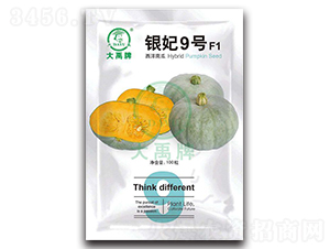 �y��9̖(h��o)�����ϹϷN��-�����N�I(y��)