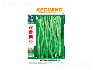 �����ܶ�-�ƹ�N��