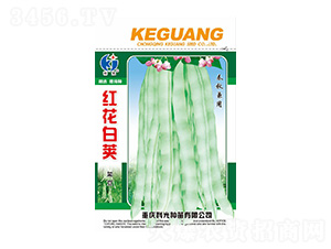 �t�����v�ܶ�-�ƹ�N��