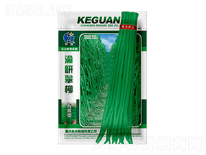 ���д���-�ƹ�N��