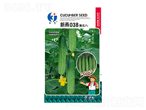 ����038-�ƹ�N��