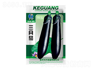 ������-�ƹ�N��