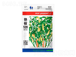 �G��528-�ƹ�N��