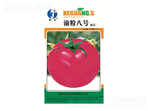 ���8̖(h��o)-�ƹ�N��