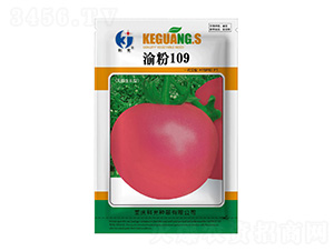 ���109-�ƹ�N��