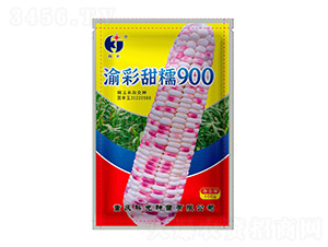 �����Ŵ900-�ƹ�N��