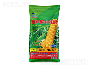 ���ȩ��ጷ�28-6-6-(li��n)��μ�