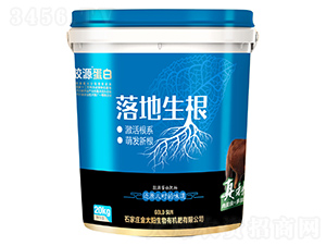 �zԴ���׷���-�������-��̫�(y��ng)