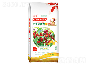 ������΢�������-����-��̫�(y��ng)