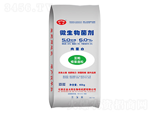 �⵰��΢�������-����-��̫�(y��ng)