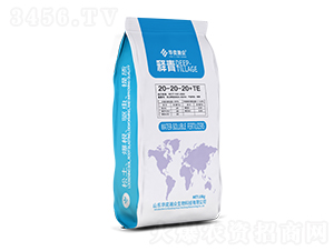 ���20-20-20+TE-�A��嫱�