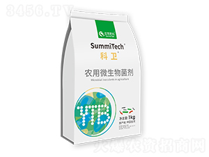 �r(n��ng)��΢�����������������-���l(w��i)-ס�̷���