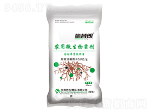 �װ�΢�������5�|-ʩ����-ס�̷���