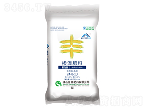 ���S��ጓ������24-8-13-ס�̷���