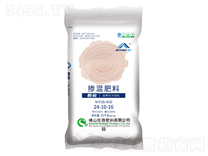 ���S��ጓ������24-10-16-ס�̷���