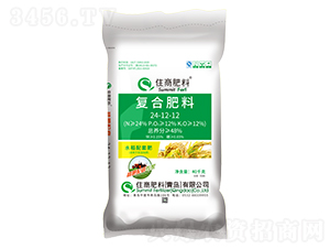 �N�����׌��ҏ�(f��)�Ϸ���24-12-12-ס�̷���