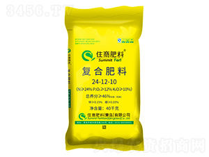 �Ȼ���͏�(f��)�Ϸ���24-12-10-ס�̷���