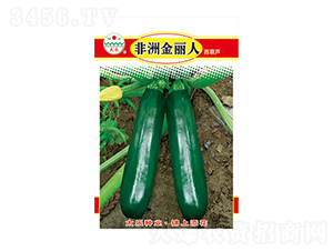 �����J�N��-���޽�����-̫���N�I(y��)