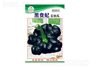 �����ϷN��-���F��-̫���N�I(y��)