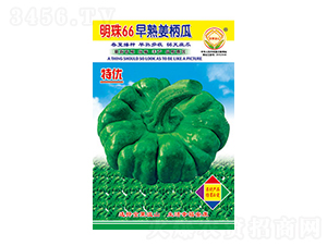 �����ϷN��-����66-̫���N�I(y��)