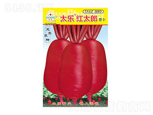 �}���N��-̫���t̫��-̫���N�I(y��)