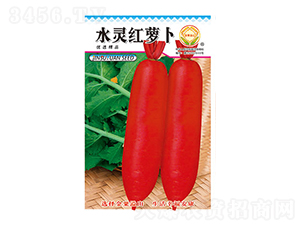 �}���N��-ˮ�`�t�}��-̫���N�I(y��)