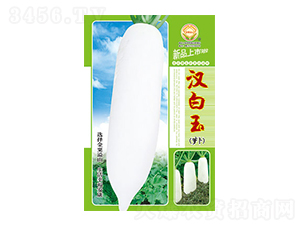 �}���N��-�h����-̫���N�I(y��)