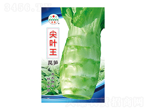 �n�S�N��-���~��-̫���N�I(y��)