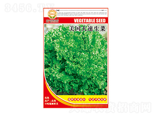 ���˷N��-������������-̫���N�I(y��)