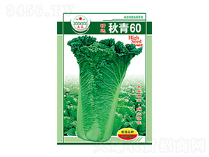 �ײ˷N��-����60-̫���N�I(y��)