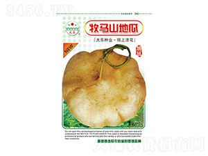 牧馬山地瓜-太樂(lè)種業(yè)