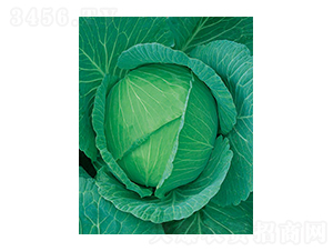 ���Sһ̖���{(l��n)-̫���N�I(y��)